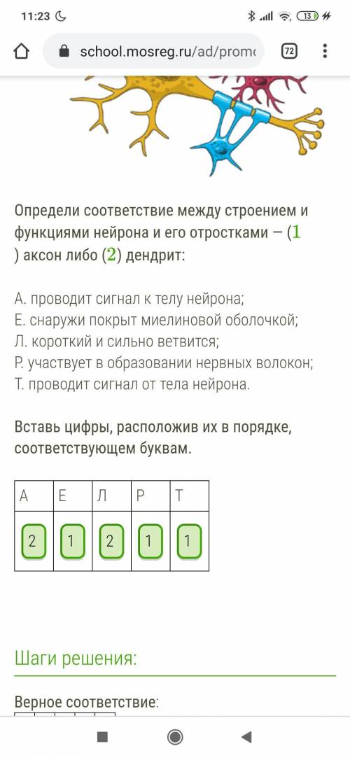 Определи соответствие между строением и функциями нейрона и его отростками — (1) аксон либо (2) денд