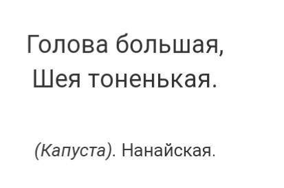 Вспомни четыре загадки, в которых употребляются прилагательные женского рода, а также отгадки к ним.