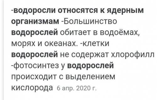 Водоросли относятся к ядерным организмам