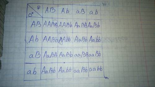 У человека карий цвет доминирует над голубым, а лучше владеть правой рукой – над левой. Кареглазый п