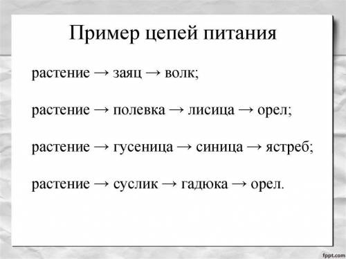 Напишите 5 примеров пищевой цепи.