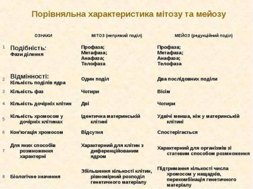 Порівняння процесів мітозу і мейозу