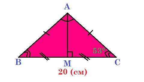 В равнобедренном треугольнике ABC с основанием BC равным 20 см, отрезок AM-медианна.Угол BCA-53.Найд