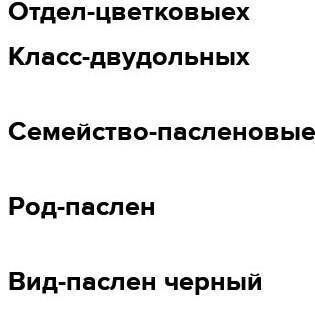 Определите систематическое положение паслена черного: Отдел Класс Семейство Род Вид