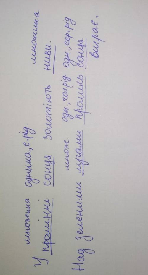 Записати речення, підкреслити іменники, визначити рід, число. а) У промінні сонця золотіють ниви. б)