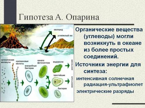 Составьте схему процесса зарождения жизни по Опарину