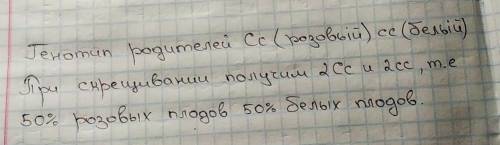 У земляники ген C определяет красный цвет плодов, а ген c — белый. У гибридов наблюдается неполное д