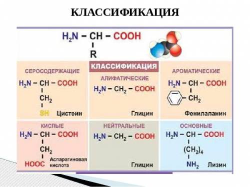 Задание⬆️⬆️⬆️⬆️⬆️⬆️⬆️⬆️⬆️⬆️⬆️​