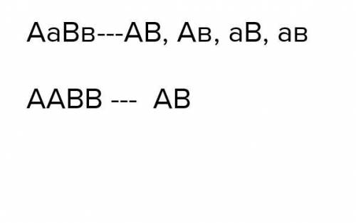 Які типи гамет дають особини що мають генотип а) АаВв, б) АаВВ, в) а.