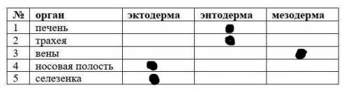 что относится к эктодерме , энтодерме и мезодерме