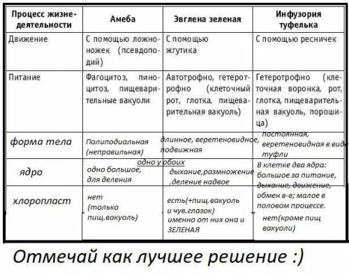 заполнить таблицу. Амеба, Эвглена, Инфузория-туфелька.​