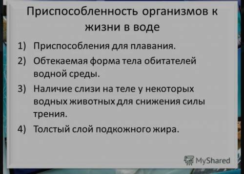 Каким образом при к жизни обитатели поверхности воды?