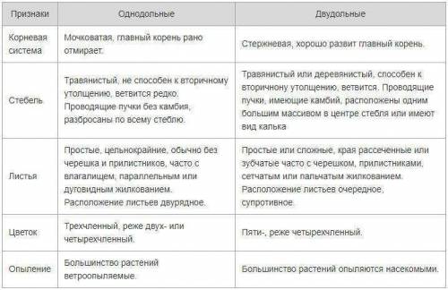 Какое соцветие у однодольных растений​