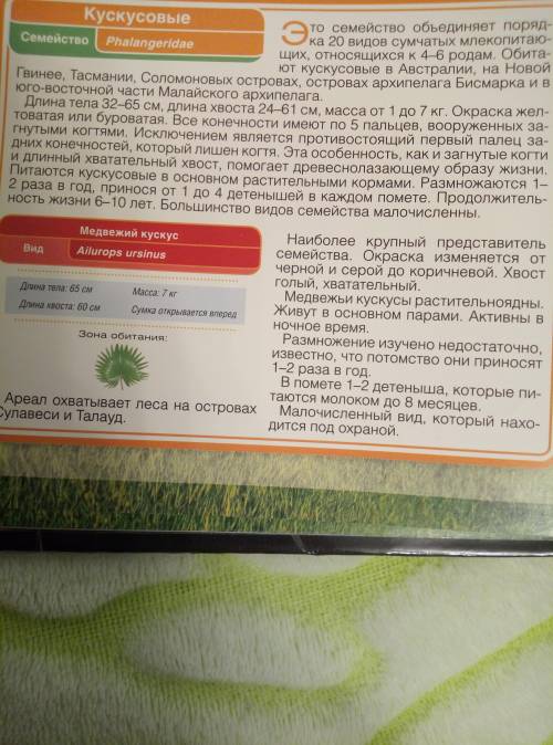 Пример: Ботаника — наука о растениях. Название этой науки происходит от греческого слова «ботане», ч