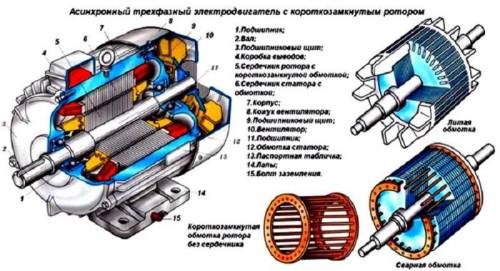 Из чего состоит электрический двигатель и принцип нго работы