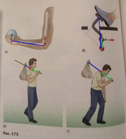 Укажите точку опоры и плечи рычагов изображенных на рисунке 173.​