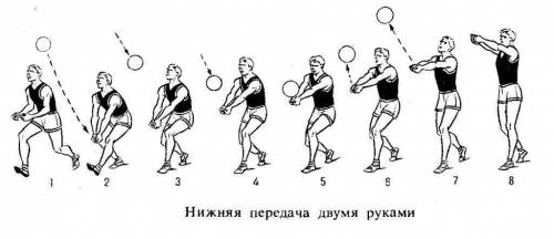 Техника нижней передачи мяча в волейболе четвёртый класс​