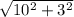 \sqrt{ 10^{2}+ 3^{2} }