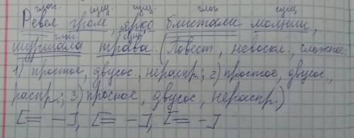 Ревел гром, ярко блистали молнии шуршала трава. СИНТАКСИЧЕСКИЙ РАЗБОР ПРЕДЛОЖЕНИЯ дам 20 б