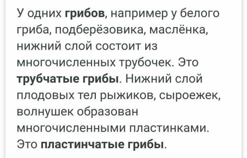 3. Заполните таблицу.Название гриба...Особенности строения шляпки ...Трубчатый или пластинчатыйБелый