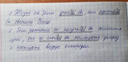 Обозначить основы, границы предложений. Обозначить суффикс Л и окончания в глаголах условного наклон