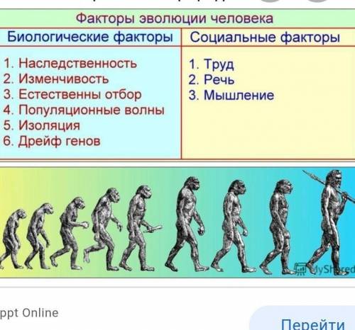 Какие факторы повлияли на возникновение речи у человека?