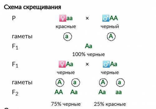 придумайте задачу на второй закон менделя! условие, дано, решение. оформите правильно умоляю​