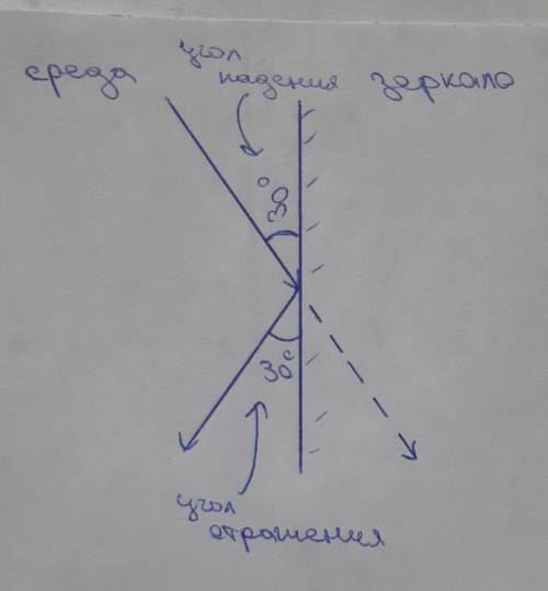 Луч света падает на границу раздела двух сред под углом 30 градусов . Постройте дальнейший ход лучей