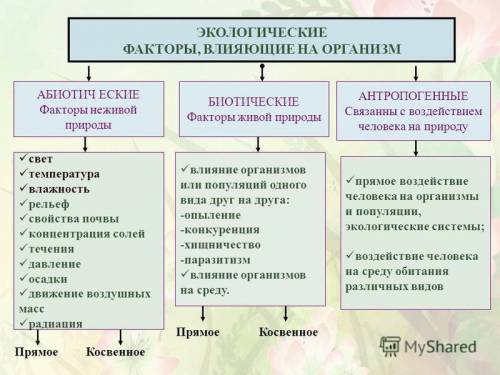 Быстрей Какие факторы влияют на рас живых организмов?