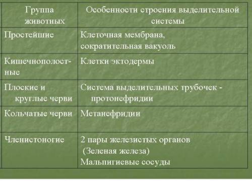 Составтьте таблицу по эволюции органов выделения​