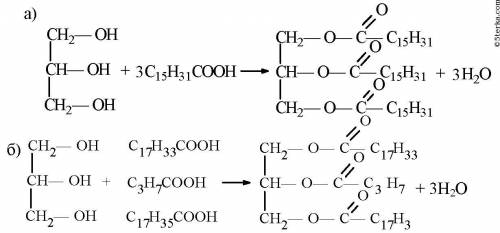 Напишите структурную формулу сложного эфира , образованного глицерином с пальмитиновой, стеариновой