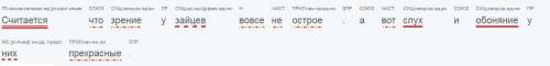 считается что зрение у зайцев вовсе не острое а вот слух и обоняние у них прекрасные синтаксический