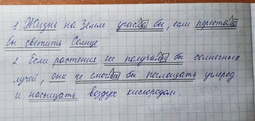 Записать предложения, обозначить основы. Обозначить суффикс Л и окончания в глаголах условного накло