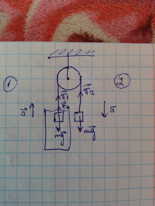 Два одинаковых алюминиевых шарика соединены невесомой нитью, перекинутой через невесомый блок. Один