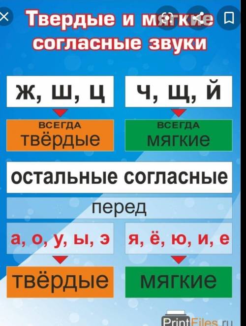 На свете есть котята-Касьянка,Том и Плут.И есть у них хозяйка,Не помню,как зовут.Сказала раз хозяйка