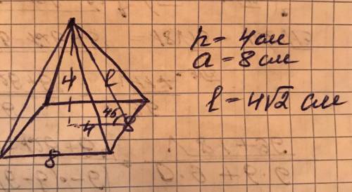 В правильной четырехугольной пирамиде сторона основания равна 8 см, а боковое ребро наклонено к плос