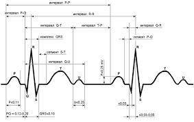 Электрокардиография - это процесс создания электрокардиограммы, записи - графика зависимости напряже