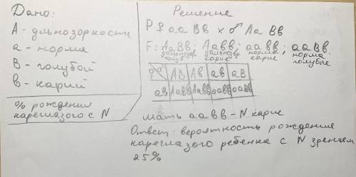 У человека дальнозоркость доминируют над нормальным зрением, голубой цвет глаз – над карим. Голубогл