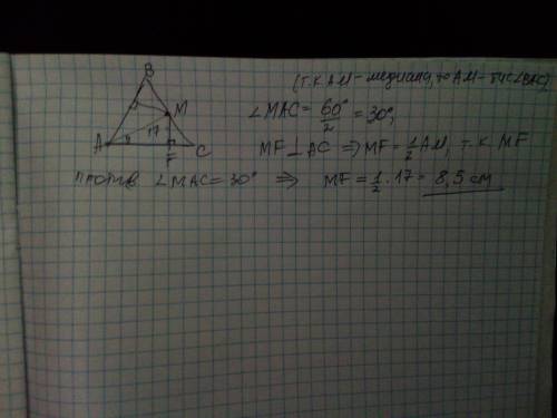 В равнесторонем треугольнике проведена медиана АМ=17 см. Расчитай расстояние от точки М до стороны А