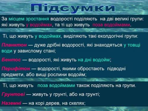 Які існують групи водоростей?