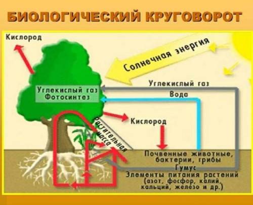 Здравствуйте решить котрольную по географии Очень