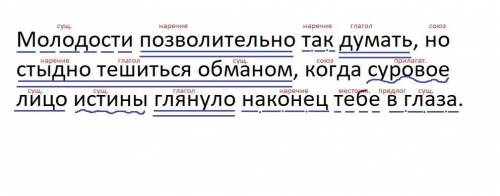 Выполните полный синтаксический разбор со схемой. Предложение: Молодости позволительно так думать, н