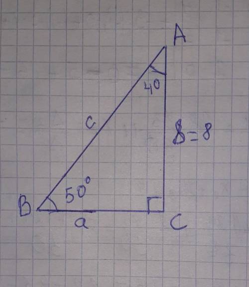 У прямокутному трикутнику ABC( кут c -90°) b - 8 см, а -40°, Знайди а, с та кут В​
