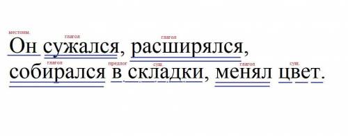 Северное сияние — это зрелище необычайной красоты. Смотришь на него — и не веришь своим глазам. Я ни