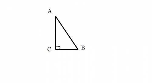 У  АВС АВ = 5 см, АС = 2√(5 )см, ВС = √(5 )см. Знайдіть: 1.Cos A; 2.Радіус кола, описаного навколо