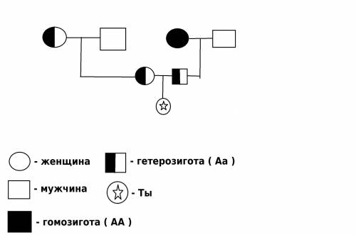 Составить генеалогическое древо, проанализировав свой генотип и генотип своих родителей, дедушек и б