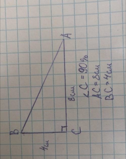 Построй прямоугольный треугольник со сторонами4 см и 8 см, прилегающими к прямому углу.​