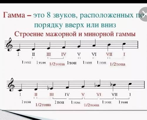 Строение мажорной гаммы через 10 минут сдавать​