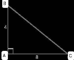 Построй прямоугольный треугольник со сторонами 4см и 8см прилегающими к прямому углу
