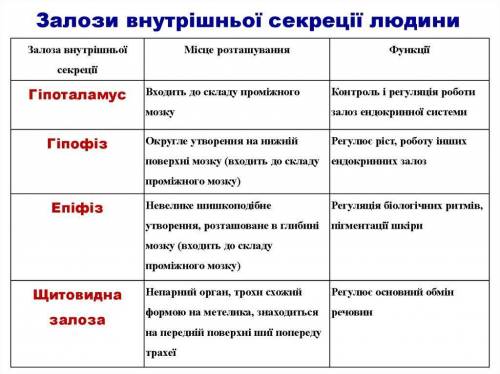 Функції залоз внутрішньої секреції